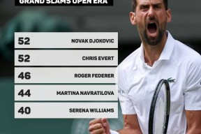 九游APP 德约科维奇冠军一览 